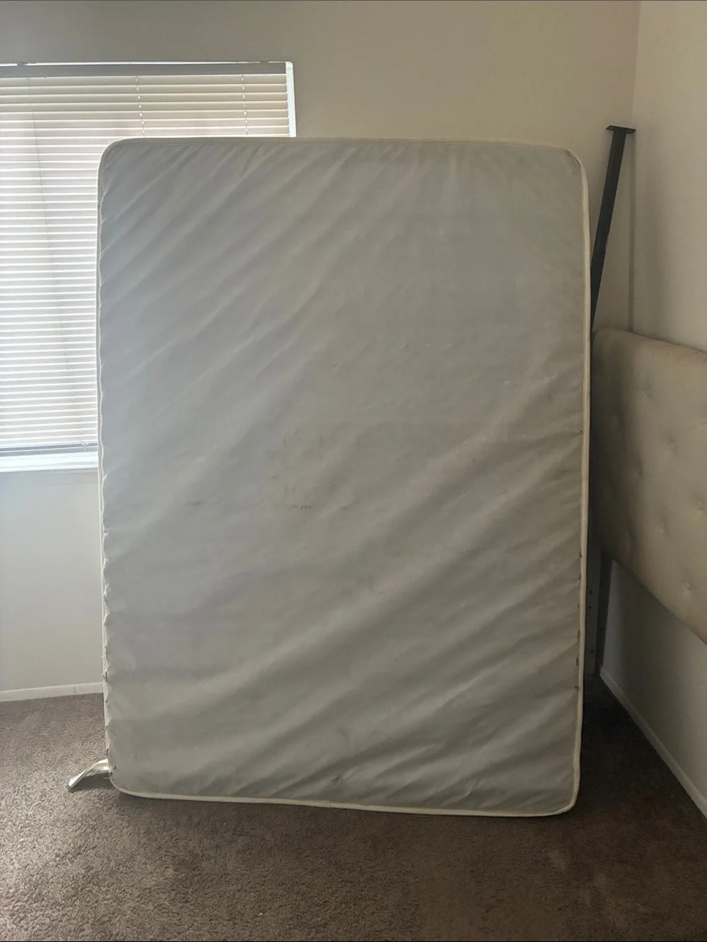 Standard White Mattress - White
